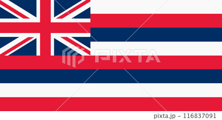 Hawaii State Flag background illustration 116837091