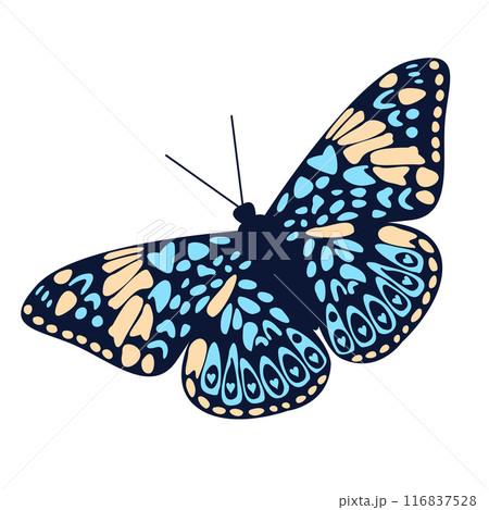 Ethereal Butterfly Silhouette. Aesthetic Art with Elegant Contours, Botanical Backdrop, Iridescent Wings for Decorative Design and Wedding Decor. Wildlife Elements. Vector illustration 116837528