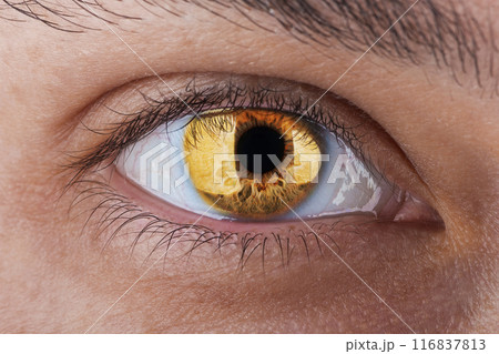 Macro photo of beautiful female eye stylized with fire inside looking straight into the camera. 116837813