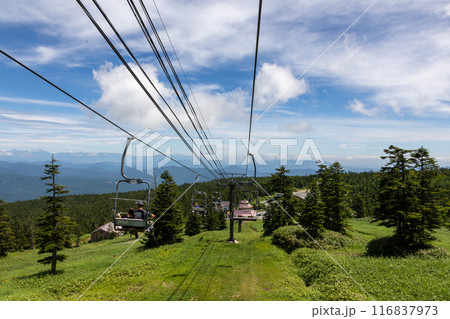 夏の志賀高原　渋峠ロマンスリフトからの風景 116837973