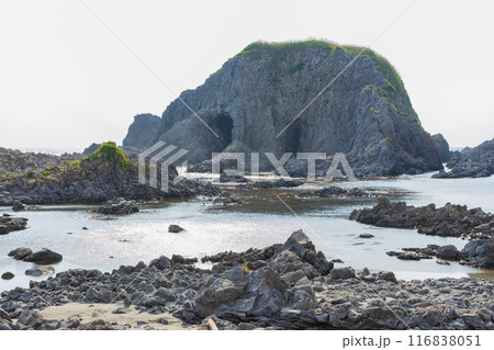 青森県深浦町　森山海岸　象岩 116838051