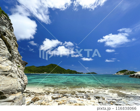 真夏の沖縄　慶良間諸島　渡嘉敷島 透明度抜群の阿波連ビーチ 116838066