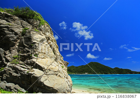 真夏の沖縄　慶良間諸島　渡嘉敷島 透明度抜群の阿波連ビーチ 116838067