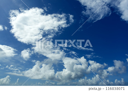 夏の沖縄 青い空と白い雲 夏の沖縄 青い空と白い雲 116838071