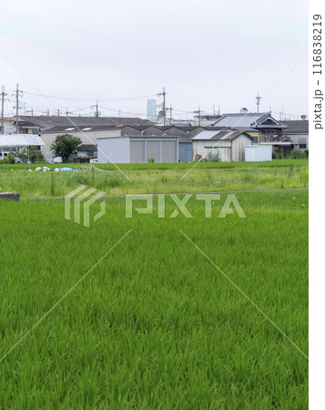 町工場と田園風景 町工場と田園風景 116838219