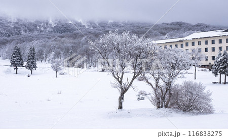 雪景色 大山鏡ヶ成 雪景色 大山鏡ヶ成 116838275