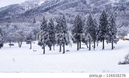 雪景色　大山鏡ヶ成 116838276