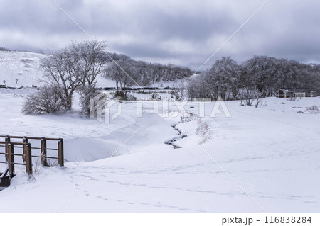 雪景色　大山鏡ヶ成 116838284