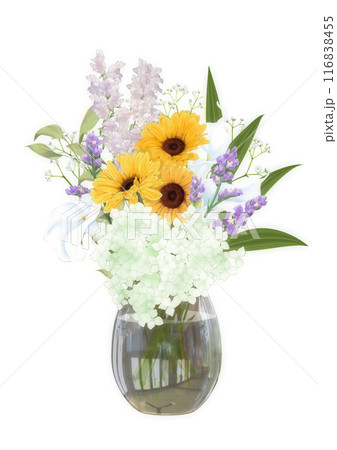 ガラス花瓶に挿したガーベラ 116838455