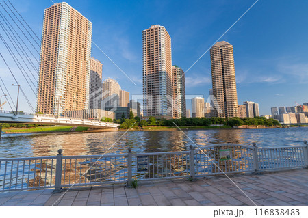 《東京都》タワーマンションの風景・東京ベイエリア 《東京都》タワーマンションの風景・東京ベイエリア 116838483