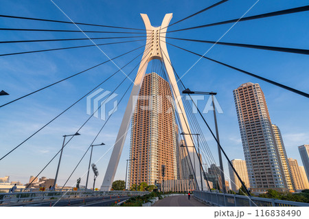 《東京都》タワーマンションの風景・東京ベイエリア 116838490