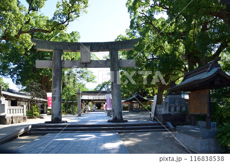 宇美八幡宮 宇美八幡宮 116838538