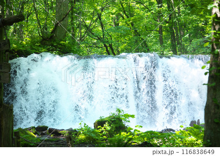 奥入瀬渓流の滝3 奥入瀬渓流の滝3 116838649