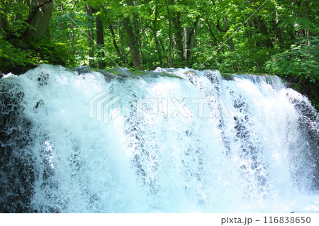 奥入瀬渓流の滝4 116838650