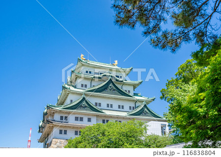 特別史跡 名古屋城 天守閣 特別史跡 名古屋城 天守閣 116838804