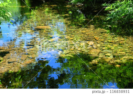 澄み切った大源太川　水鏡の模様　新潟県湯沢町　 116838931