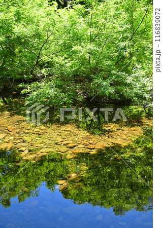 澄み切った大源太川 水鏡の模様 新潟県湯沢町 澄み切った大源太川 水鏡の模様 新潟県湯沢町 116839072