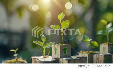 Seedlings Growing from Sustainable Blocks in Sunlight 116839502