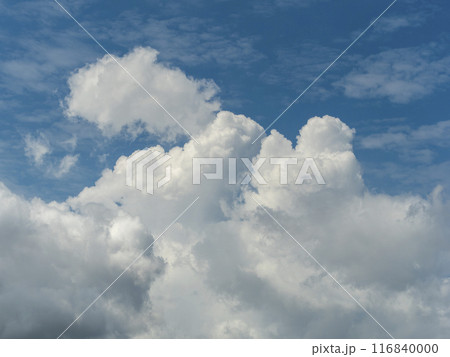 真夏の青空に発生した積乱雲 真夏の青空に発生した積乱雲 116840000