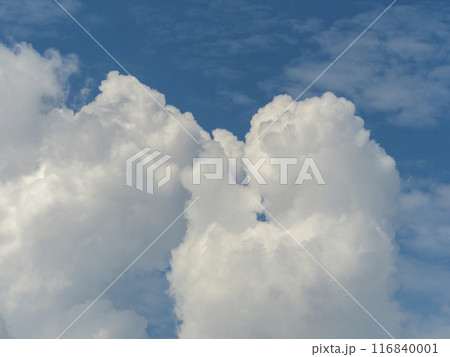 真夏の青空に発生した積乱雲 116840001