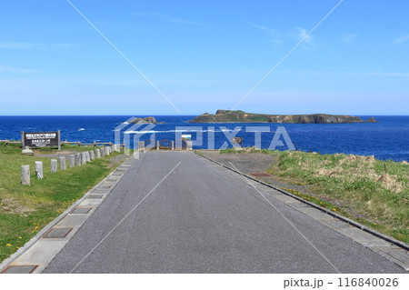 北海道道507号船泊港利礼公園線 終点の礼文島スコトン岬から眺めるトド島 116840026