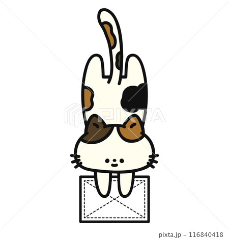 雑巾がけをする可愛い猫 116840418