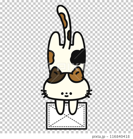 雑巾がけをする可愛い猫 116840418