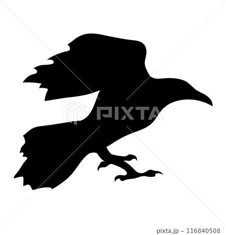 Bird Raven Crow Black Silhouette for Icon. 116840508