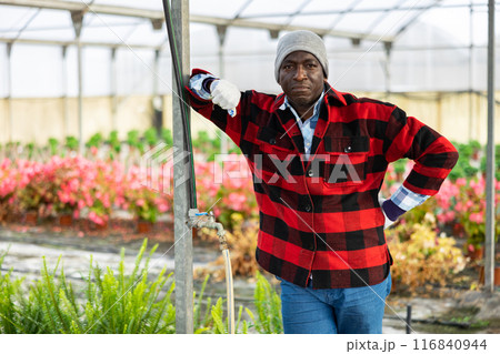 Portrait of gardener standing at the greenhouse 116840944