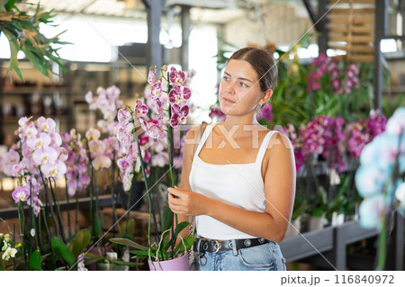 Happy smiling girl choosing orchids in floral shop Happy smiling girl choosing orchids in floral shop 116840972