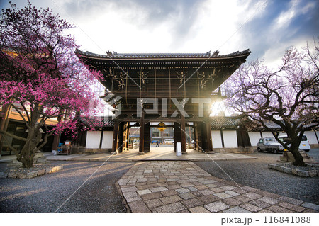 興正寺の梅の木 116841088