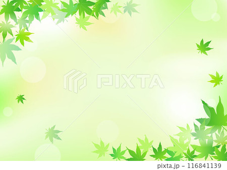 青紅葉と黄緑色の背景 116841139
