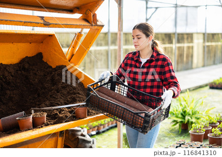 Woman farmer puts a soil in pots Woman farmer puts a soil in pots 116841310