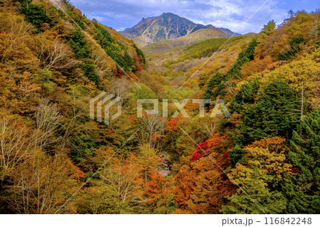 八ヶ岳赤岳の紅葉 八ヶ岳赤岳の紅葉 116842248