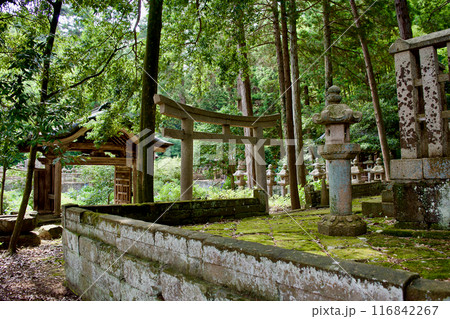 松江藩主　松平家の墓所　　月照時　 116842267
