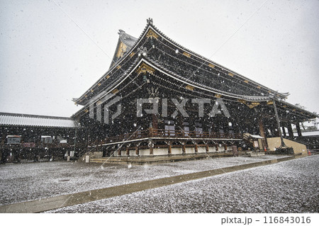 京都 東本願寺の雪景色 京都 東本願寺の雪景色 116843016