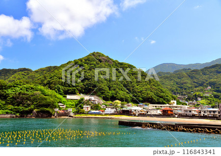 田子/大田子海水浴場の街並み(静岡県西伊豆町)【2024.7】 田子/大田子海水浴場の街並み(静岡県西伊豆町)【2024.7】 116843341