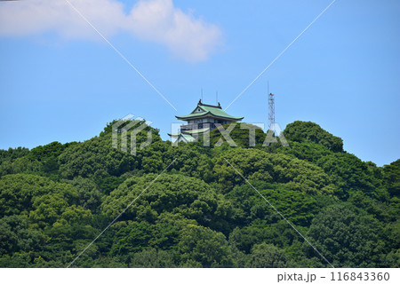 《愛知県》小牧山城の天守閣と青い空 116843360