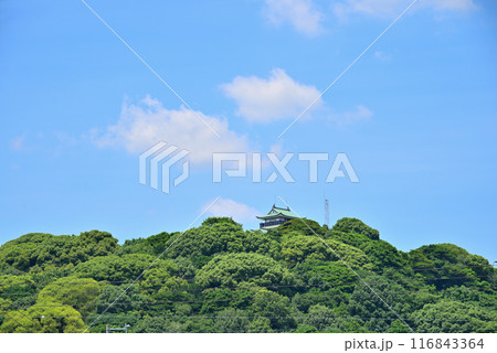《愛知県》小牧山城の天守閣と青い空 116843364