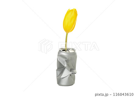 PNG, Yellow tulip in tin can, isolated on white background 116843610