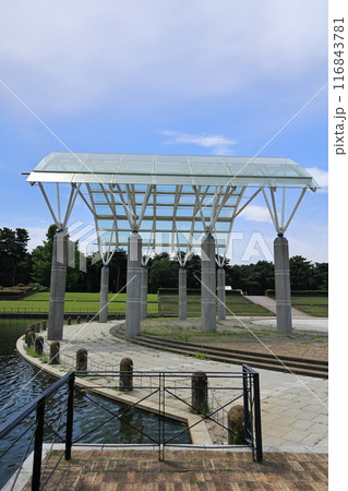 国営ひたち海浜公園の水のステージを横から見て 国営ひたち海浜公園の水のステージを横から見て 116843781