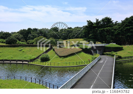 国営ひたち海浜公園の西池と観覧車 116843782