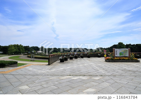 国営ひたち海浜公園の西口・翼のゲートからの光景 国営ひたち海浜公園の西口・翼のゲートからの光景 116843784
