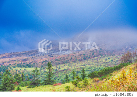 （群馬県）志賀草津道路（さわやか街道）　噴煙を上げる白根山 116843808