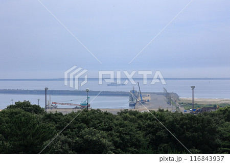 国営ひたち海浜公園のみはらしの丘から海を眺めて 国営ひたち海浜公園のみはらしの丘から海を眺めて 116843937