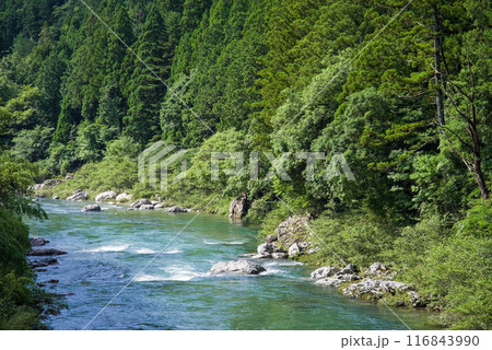 夏の清流《岐阜県板取川》 116843990