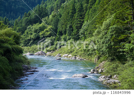 夏の清流《岐阜県板取川》 116843996