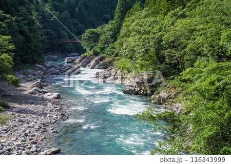 夏の清流《岐阜県板取川》 116843999
