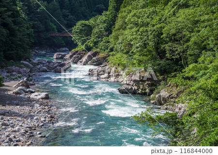 夏の清流《岐阜県板取川》 116844000