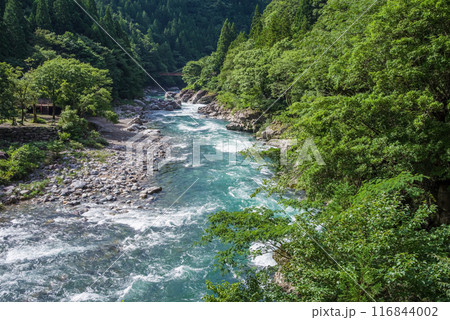 夏の清流《岐阜県板取川》 夏の清流《岐阜県板取川》 116844002